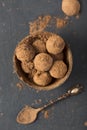 Dark chocolate truffles cocoa powder in a bowl of coconut shell, top view, close up Royalty Free Stock Photo