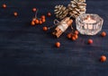 Dark Christmas background with candles and berries of mountain ash. White pine cones. Branches acorns. Royalty Free Stock Photo