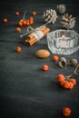 Dark Christmas background with candles and berries of mountain ash. White pine cones. Branches acorns. Royalty Free Stock Photo