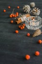 Dark Christmas background with candles and berries of mountain ash. White pine cones. Branches acorns. Royalty Free Stock Photo