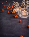 Dark Christmas background with candles and berries of mountain ash. White pine cones. Branches acorns. Royalty Free Stock Photo