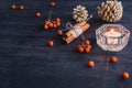 Dark Christmas background with candles and berries of mountain ash. White pine cones. Branches acorns. Royalty Free Stock Photo