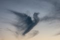 Dark cloud in shape of a pigeon in the evening sky Royalty Free Stock Photo