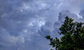 The dark Cloud sky at the day Royalty Free Stock Photo