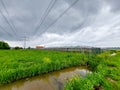 Dark clouds above the Groene Zoom between Capelle and Nieuwerkerk with grass, abondoned greenhouse and animals