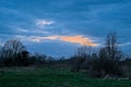 Dark clouds with brirght orange spots over a meadow with tree silhouettes in the flemish countryside Royalty Free Stock Photo