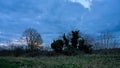 Dark clouds with brirght orange spots over a meadow with tree silhouettes in the flemish countryside Royalty Free Stock Photo