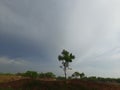 Dark clouds cloud and strong winds before the rain.