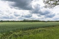 Dark clouds over a cornfield near Borger, Netherlands