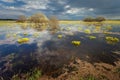 Dark clouds over the marshes Royalty Free Stock Photo
