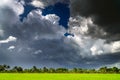 Dark clouds over rice field before rain storm.