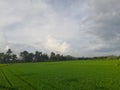 Dark clouds over the rice field, rainy season in Lombok Island, Indonesia Royalty Free Stock Photo