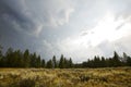 Dark clouds over sagebrush and pine trees, Jackson Hole, Wyoming. Royalty Free Stock Photo