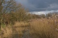 dark clouds over a winter marshland in the flemish countryside Royalty Free Stock Photo