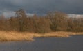 dark clouds over a winter marshland in the flemish countryside Royalty Free Stock Photo