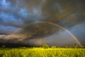 Storm and Rainbow Over Sugar Cane Farm Royalty Free Stock Photo