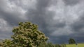 Dark clouds in the sky gather for storms and tree Royalty Free Stock Photo