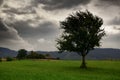 Dark clouds, stormy sky and one tree on a meadow in carpathian mountains, wind, countryside, spruces on hills, beautiful nature, Royalty Free Stock Photo