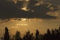 Dark clouds with sun rays and tree beams