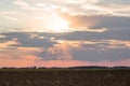 dark clouds at sunset and wheat field Royalty Free Stock Photo