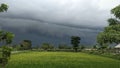 dark cloudy view in the middle of rice fields Royalty Free Stock Photo