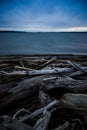 Dark and Cold Keystone Beach on a Winter Sunset On Whidbey Island, Washington, United States