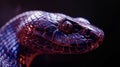 dark color snake face with dark background