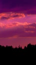 Dark color sunset clouds photo with silhouette of pine forest