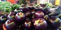 dark colored vegetables begun isolated on fruit store