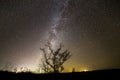 Dark contrast silhouette of tree on dark starry sky, Milky Way g