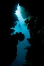 Dark Coral Reef Crevice and Snorkeler in Raja Ampat Royalty Free Stock Photo