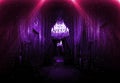 Dark corridor with neon light, luxurious interior in a night club version. Louvr