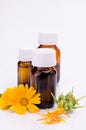 Dark cosmetic bottle of aromatic oil for herbal medicine with calendula flower isolated on white backdrop. Marigold Royalty Free Stock Photo