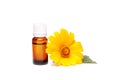 Dark cosmetic bottle of aromatic oil for herbal medicine with calendula flower isolated on white. Marigold extract. Royalty Free Stock Photo