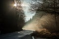 Dark country road in forest and sun