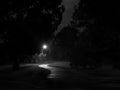 Dark and Creepy Bike Path at NightCreepy