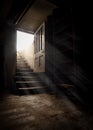 Dark and creepy wooden cellar door open at bottom of old stone stairs bright sun light rays shining through on floor making shadow