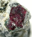 Dark crimson crystal of the mineral corundum (ruby)