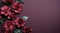 Dark Crimson Magnolia Flowers On Purple Background