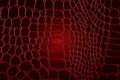 Dark crocodile skin texture in red color. Royalty Free Stock Photo