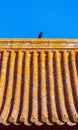a dark Crow standing on the roof of the Imperial Palace