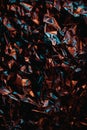 Dark crumpled metallic red green texture