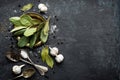 Dark culinary background with bay leaves, salt, pepper and garlic, view from above, copy space for recipe text