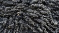 Dark curly wool texture close-up.