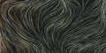 Dark Curving, Vertically Flowing Striped Lines Pattern - Modern Style Digitally Generated Abstract Background