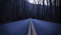 Dark and Depressing Street Photography of a Road in the Empty Forest Royalty Free Stock Photo