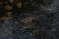 Dark, dirty lake with heavy raindrops creating huge ripple patterns in it