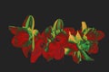 Dark dramatic digital flowers, red and green tonal processing on black. Neon-lit mood, bold reinterpretation suitable Royalty Free Stock Photo
