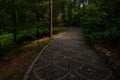 Dark dramatic forest landscaping park nature environment space with early autumn brown colors and paved trail for promenade and