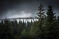 Dark dramatic sky over a treetop walkway in Bachledova dolina in Slovakia